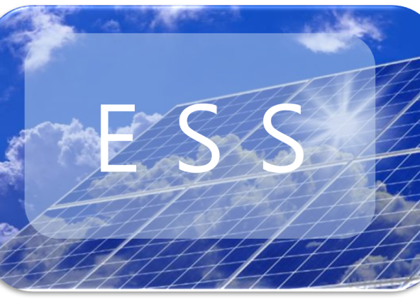 ESS란? 이미지